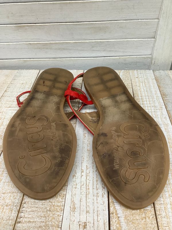 Sandals Flats By Sam Edelman  Size: 9 For Discount - Image 3
