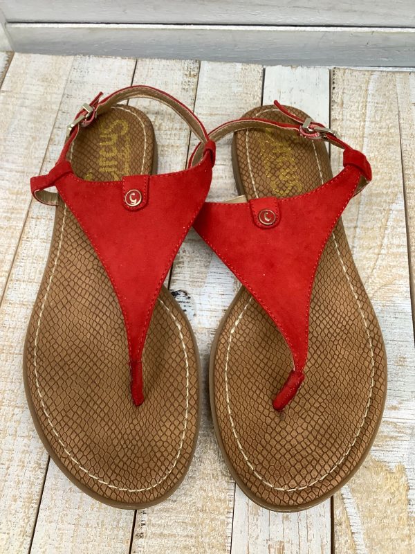Sandals Flats By Sam Edelman  Size: 9 For Discount - Image 2