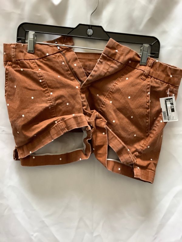 Shorts By Miami  Size: L Discount